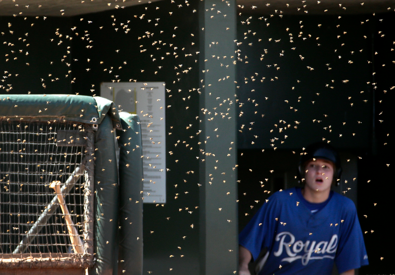 Photo via AP